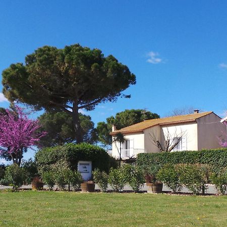 A L'Oree Des Vignes Montady Exteriér fotografie
