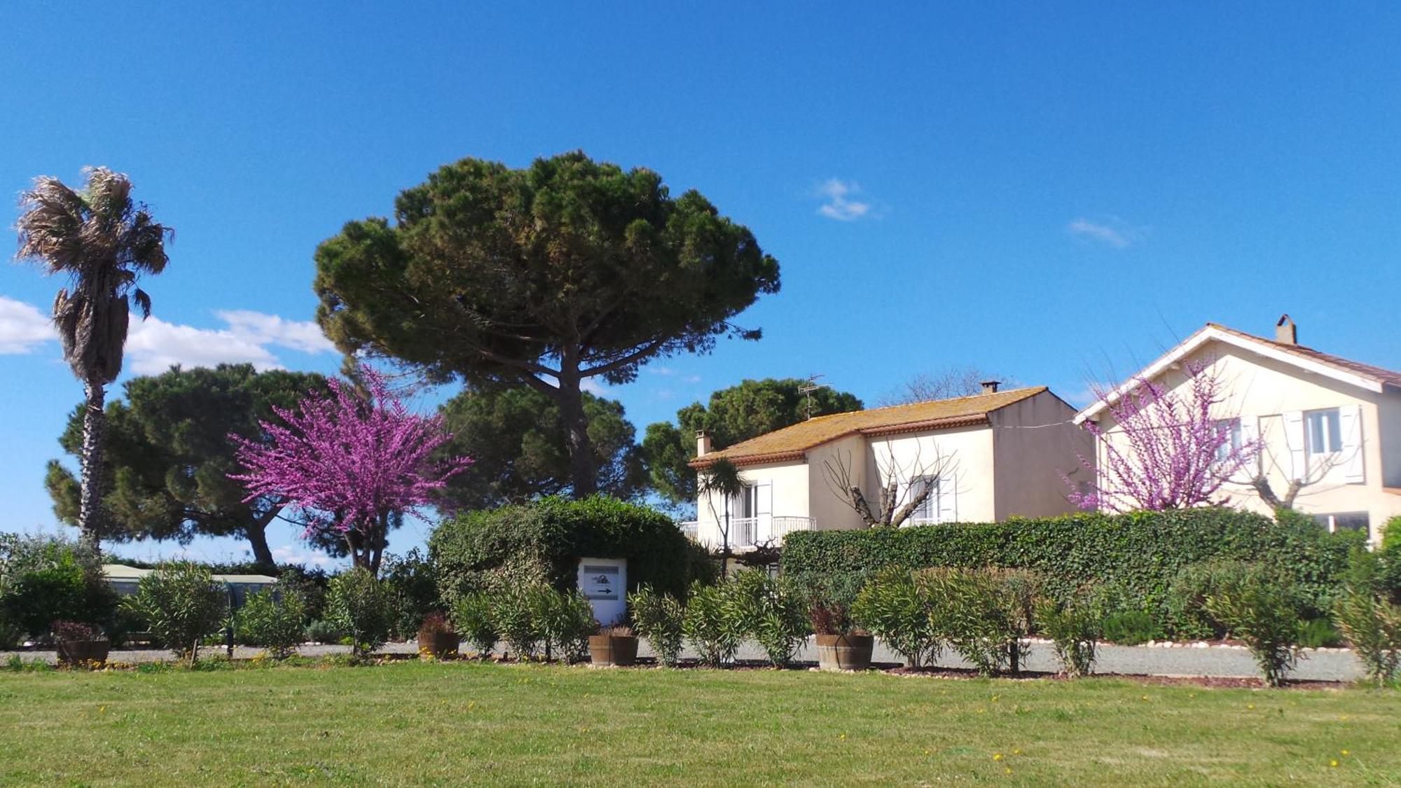 A L'Oree Des Vignes Montady Exteriér fotografie