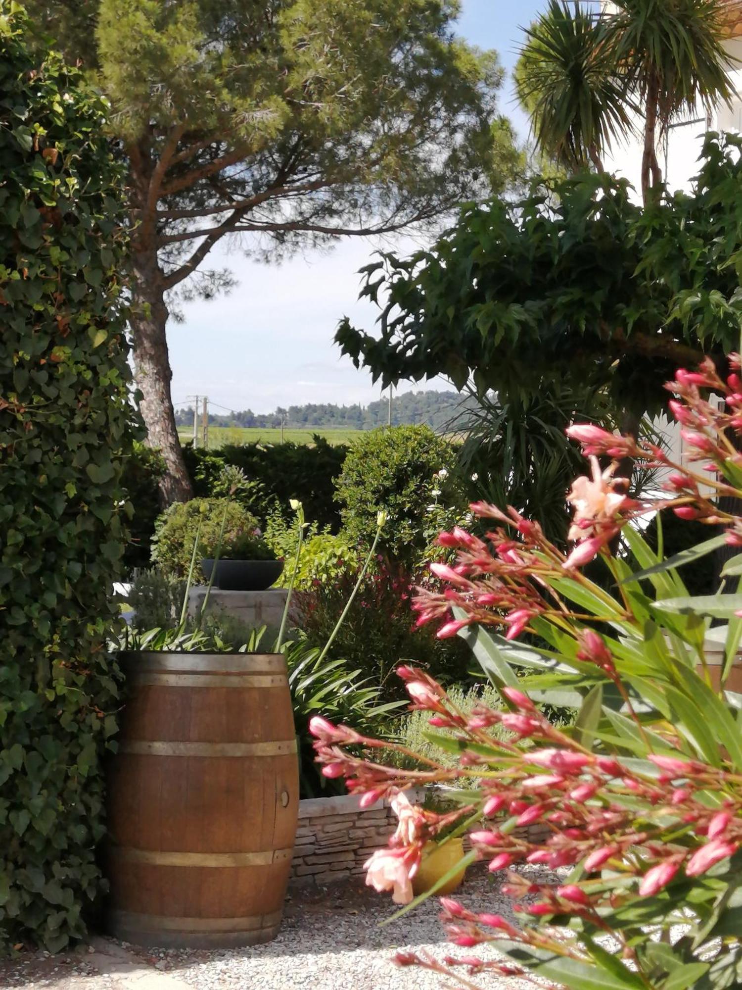 A L'Oree Des Vignes Montady Exteriér fotografie